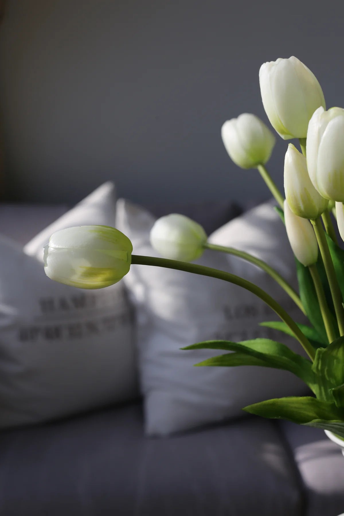 Tulipani