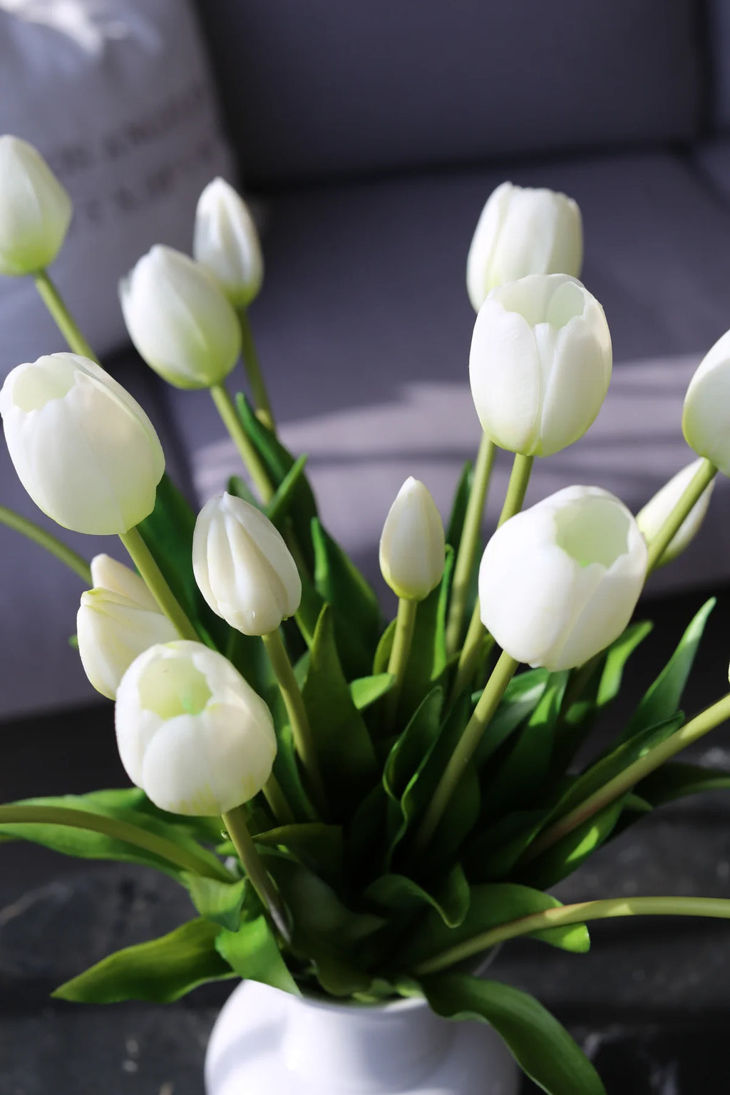 Tulipani