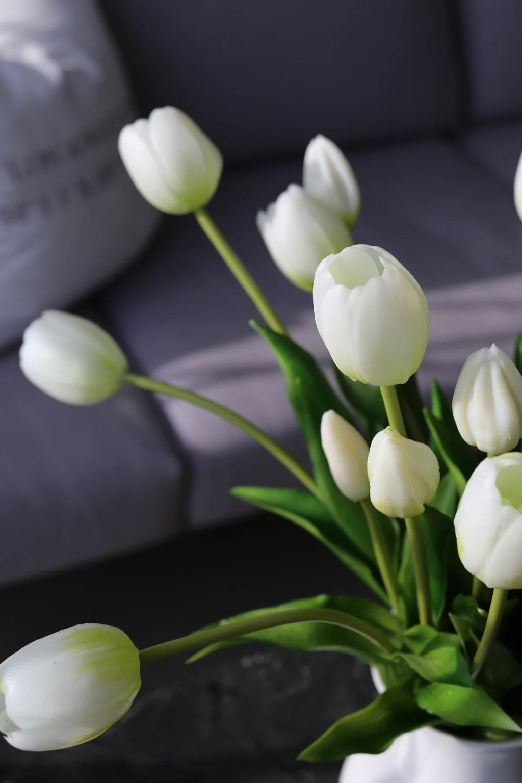 Tulipani