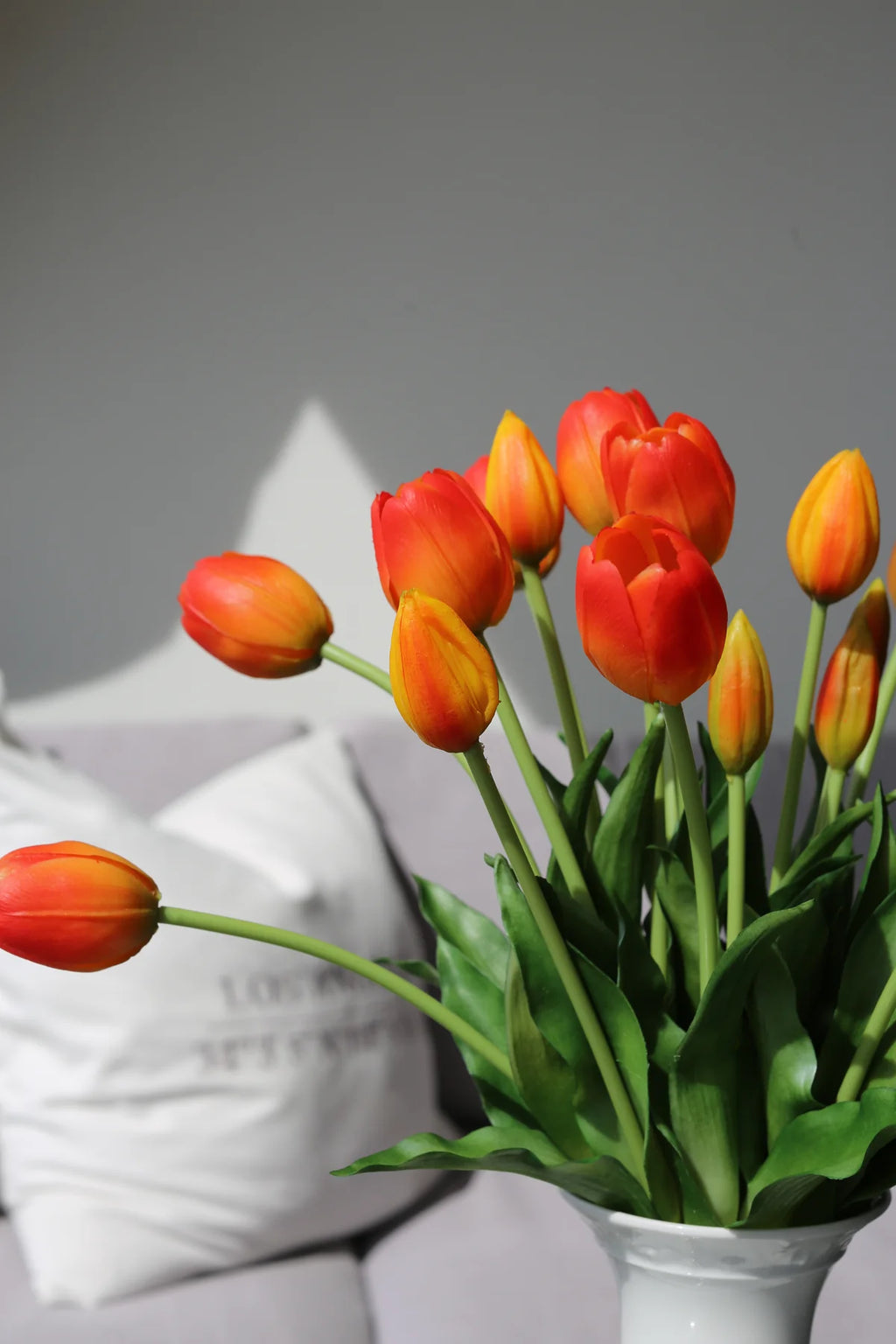 Tulipani