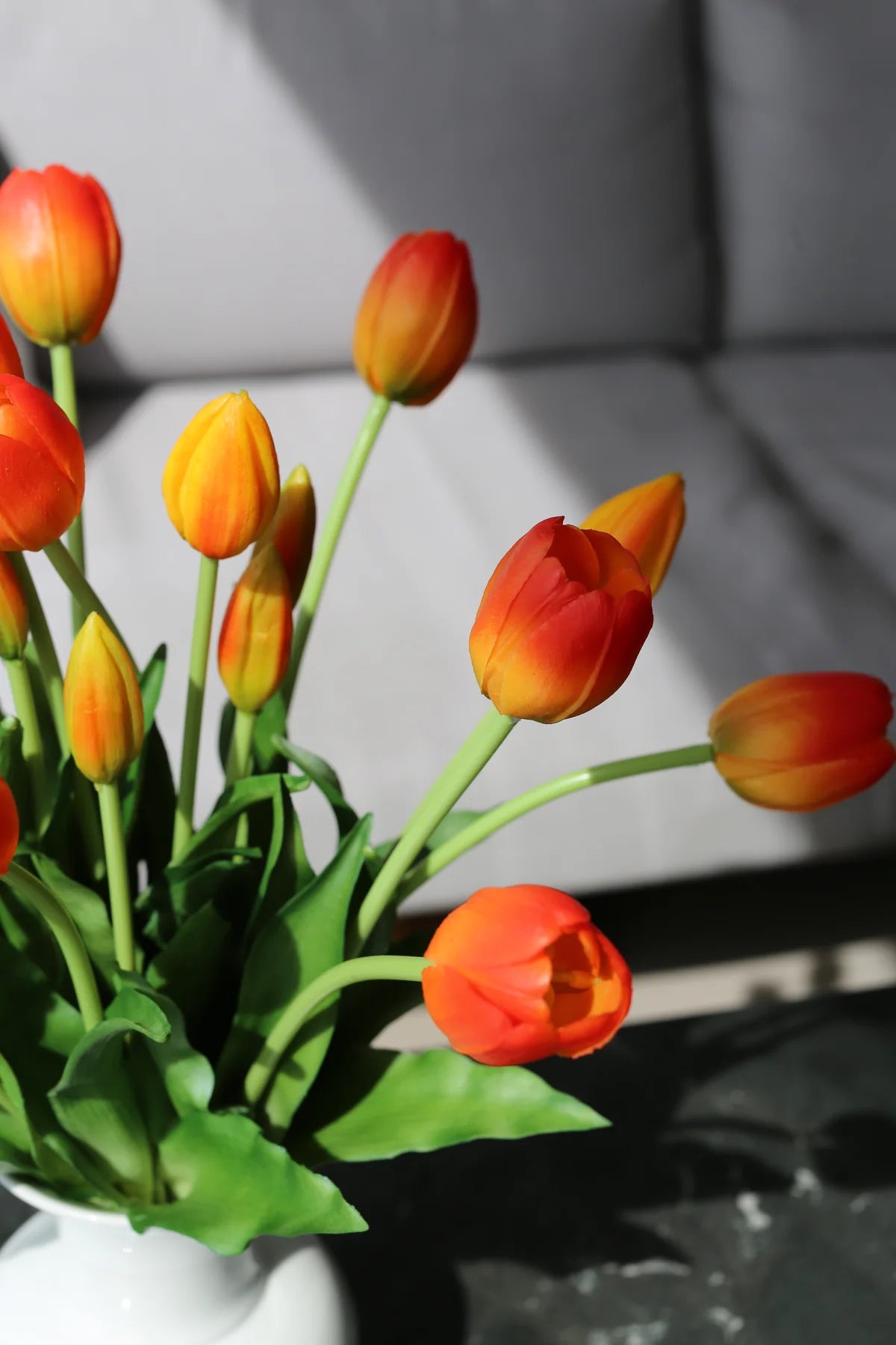 Tulipani