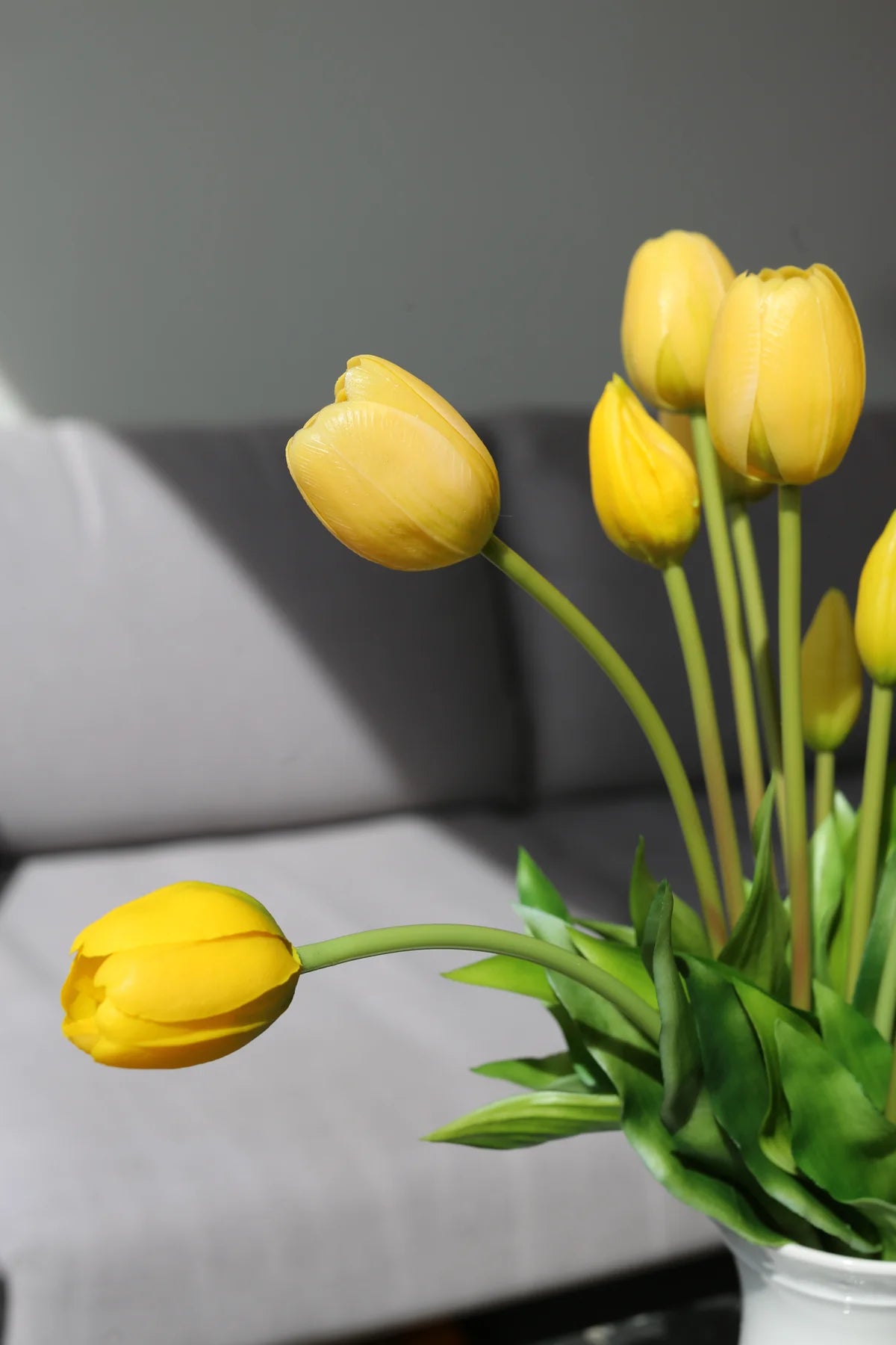 Tulips