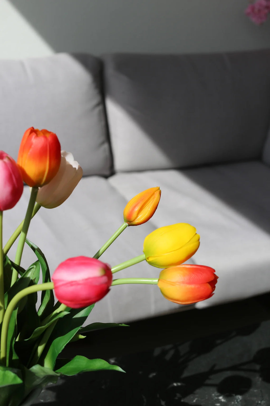 Tulipani šareni