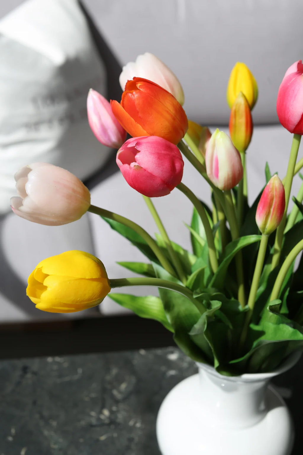 Tulipani šareni