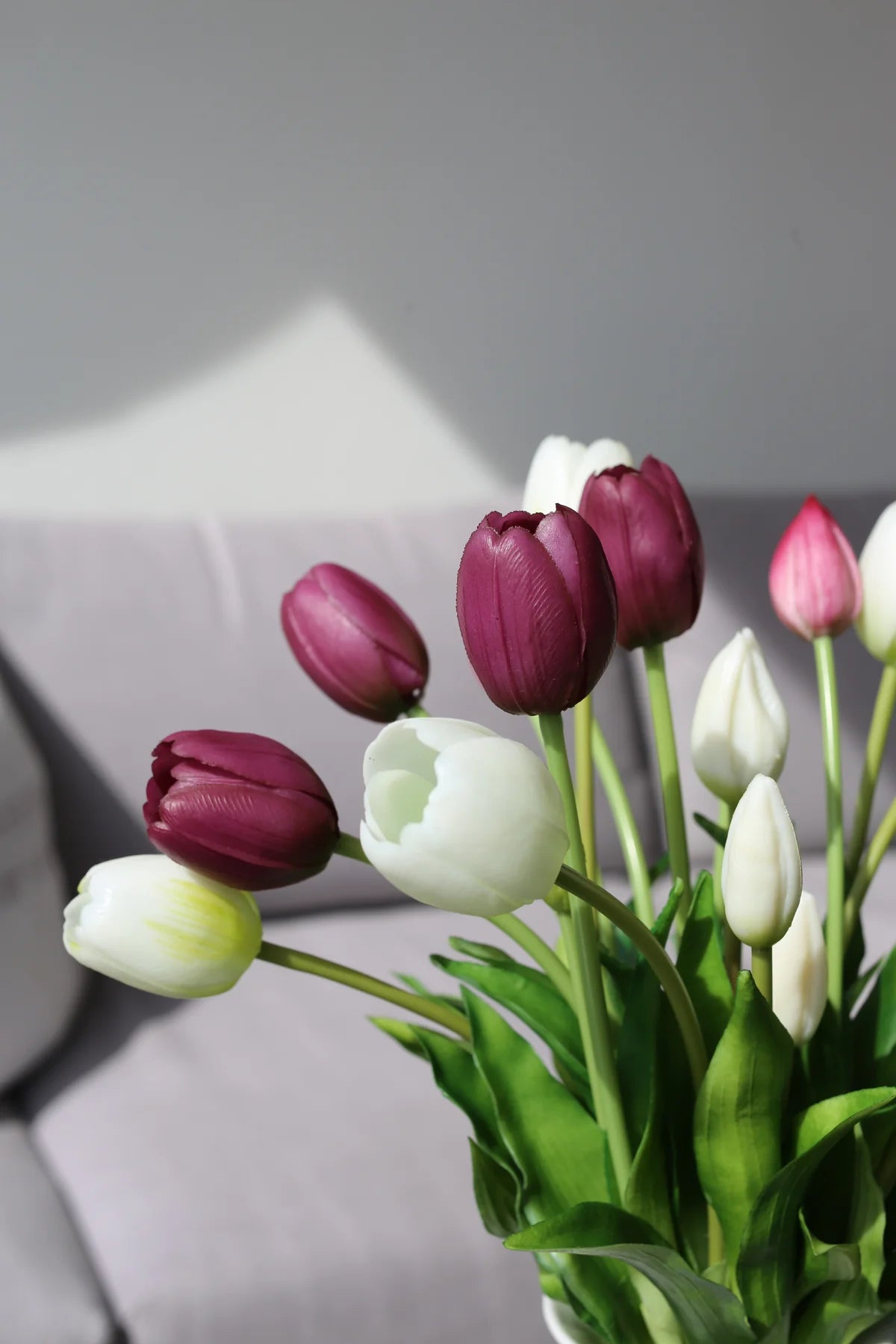 Tulipani