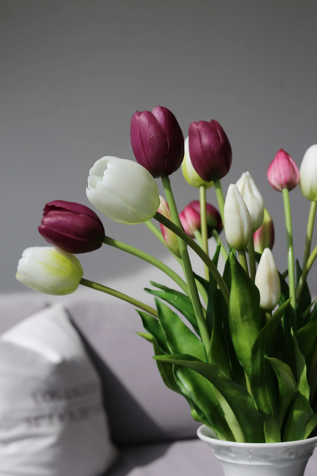 Tulipani