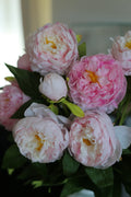 Peony rozi REAL TOUCH komad