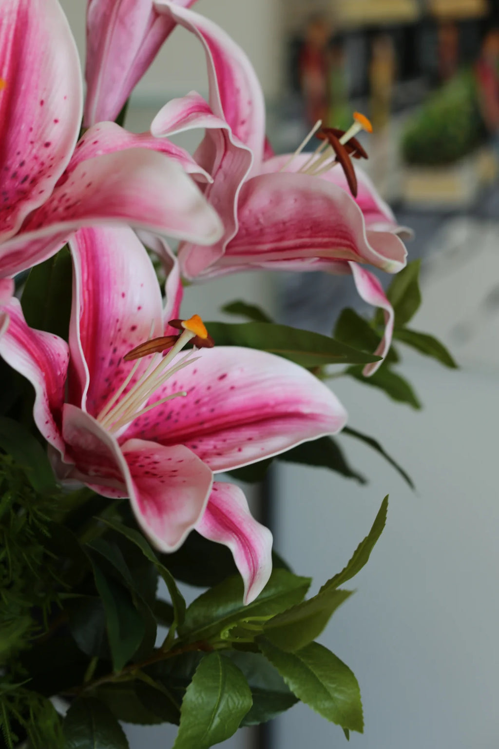 Pink Lili