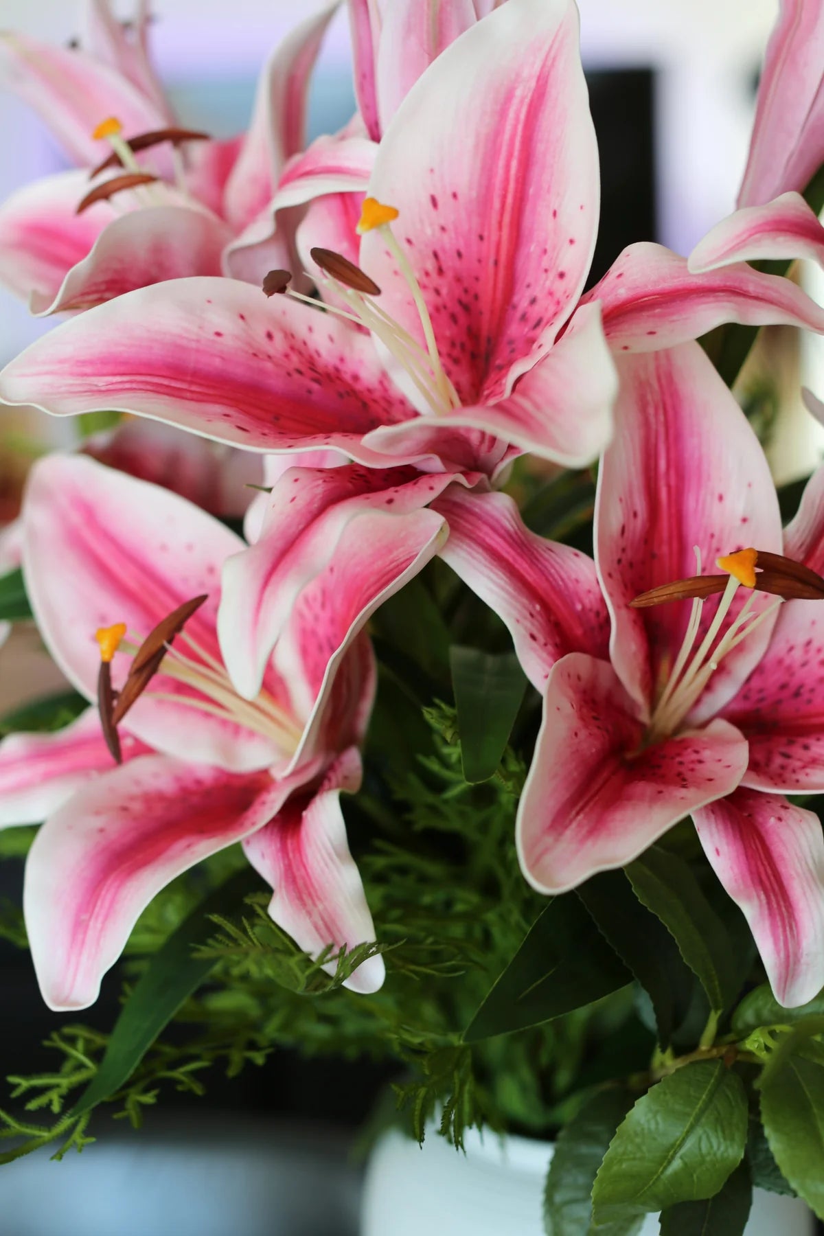 Pink Lili