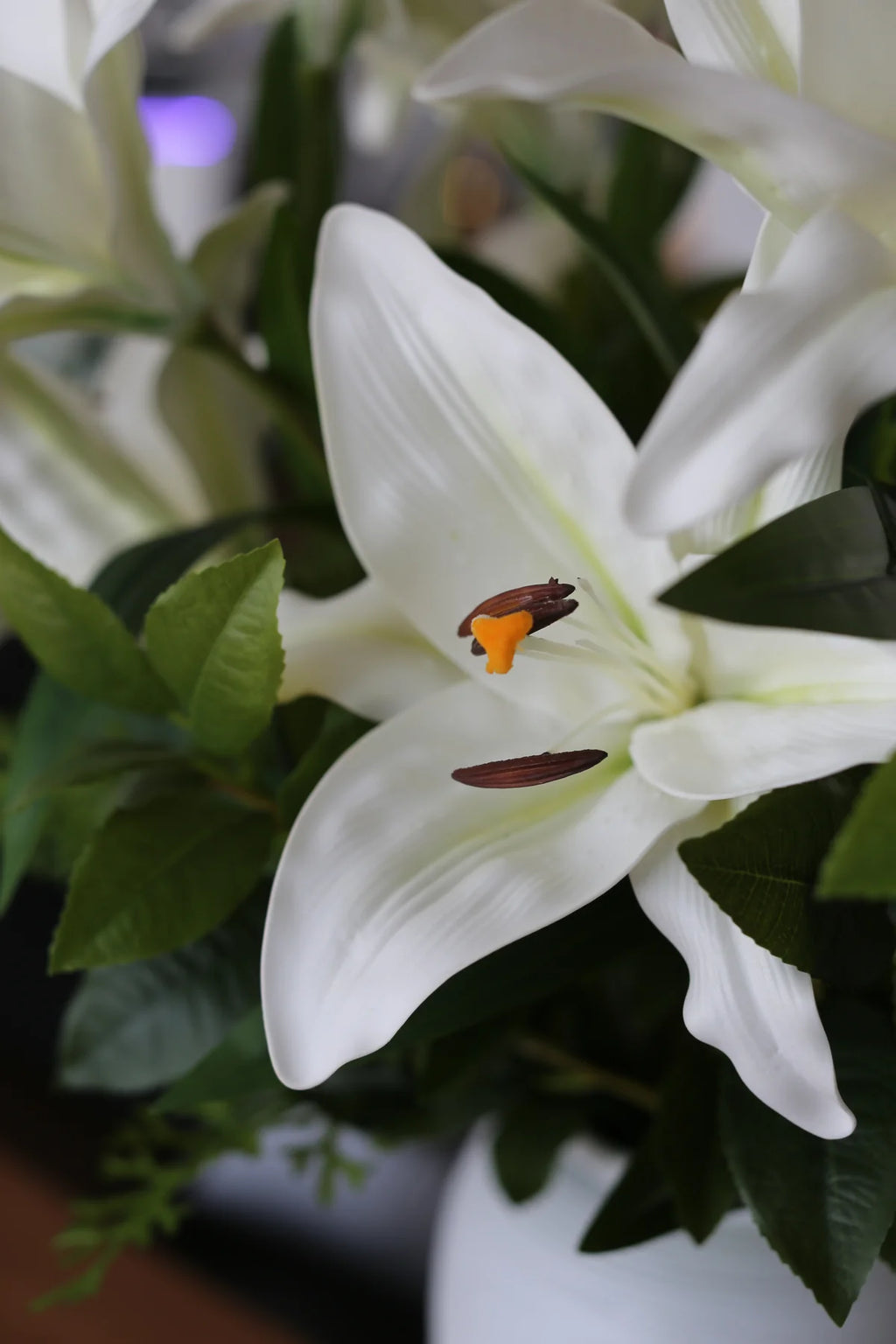 Royal White Lili