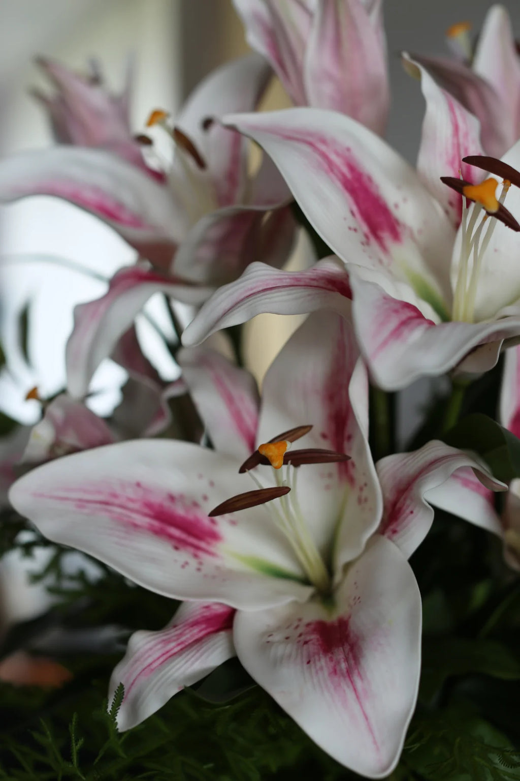 White Lili