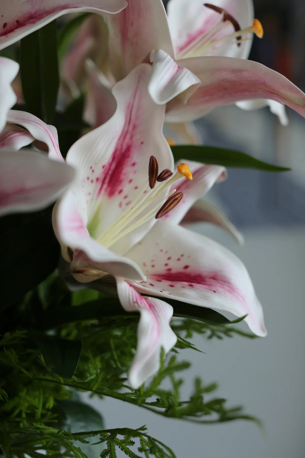 White Lili