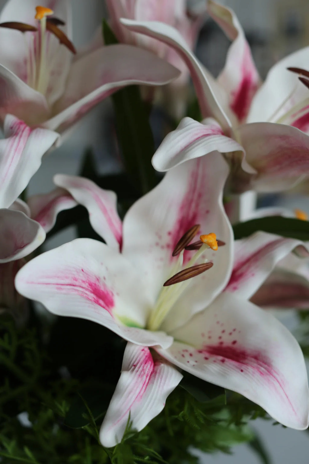 White Lili