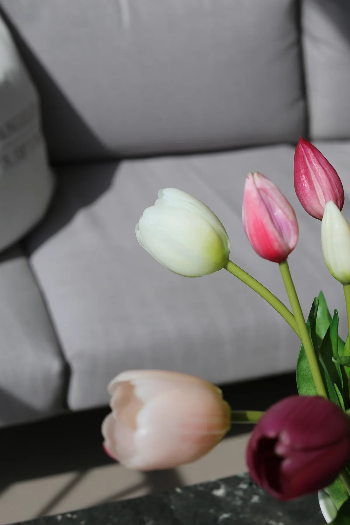 Tulipani Blossom