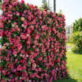 Flower Wall Pink Mjesečni najam